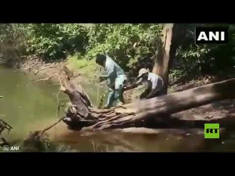 شاهدرجل هندي ينجو بأعجوبة من لدغة كوبرا